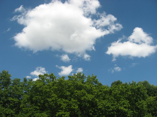 Picture 144.jpg, 935 KB